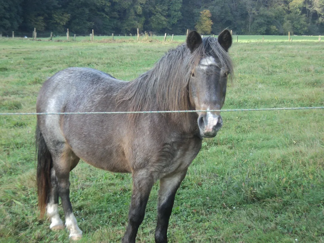 le-trou-du-cheval-chairriere-3i5rh
