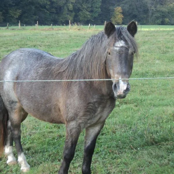 le-trou-du-cheval-chairriere-3i5rh