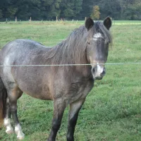le-trou-du-cheval-chairriere-3i5rh