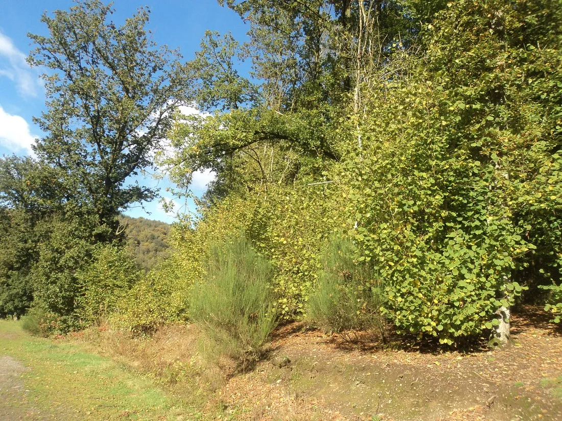 le-trou-du-cheval-chairriere-opwlw