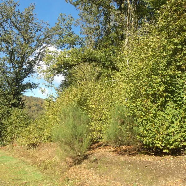 le-trou-du-cheval-chairriere-opwlw