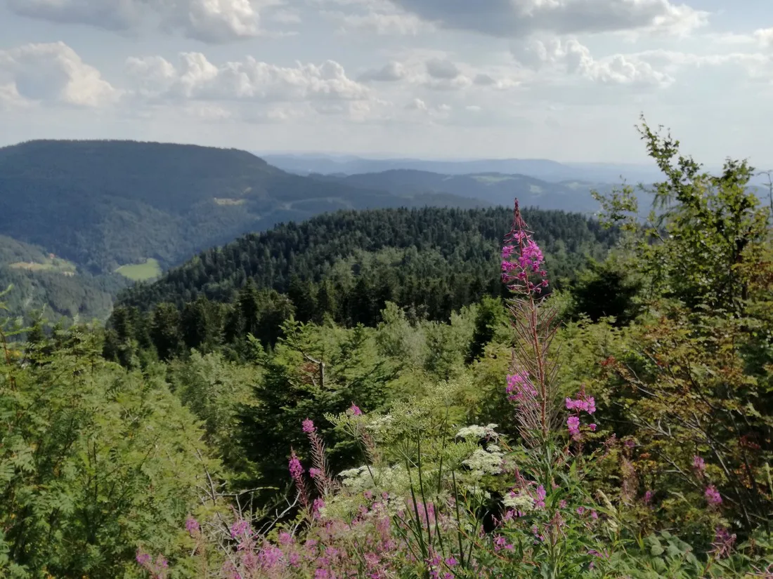 kleinenzhof-bad-wildbad-veokt
