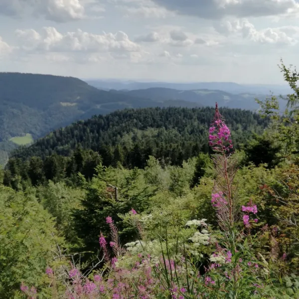 kleinenzhof-bad-wildbad-veokt