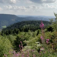 kleinenzhof-bad-wildbad-veokt