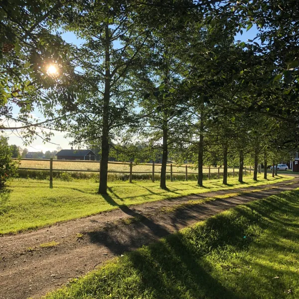Fyrås Gård