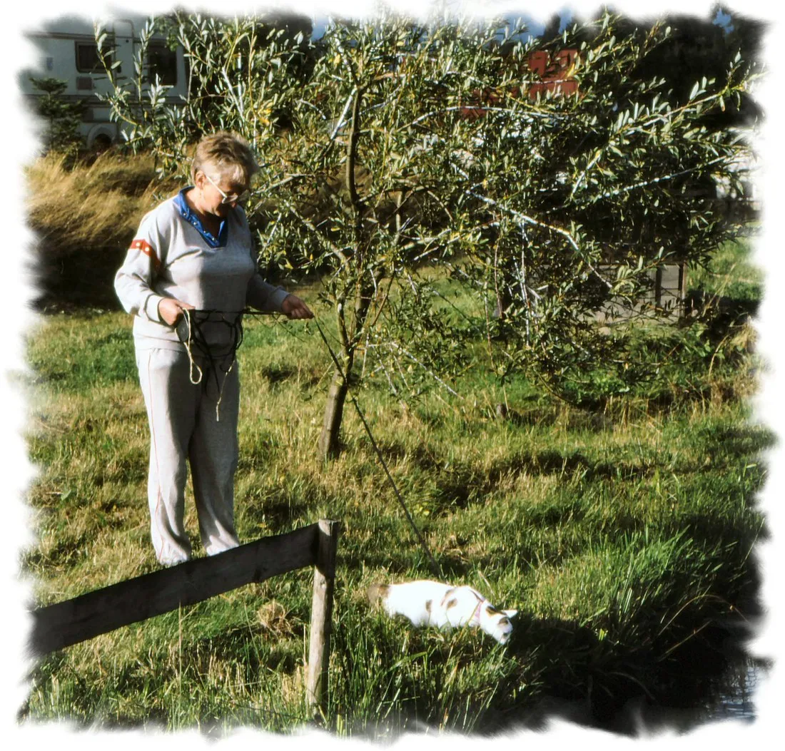 holderbach-mehlmeisel-e2pxy