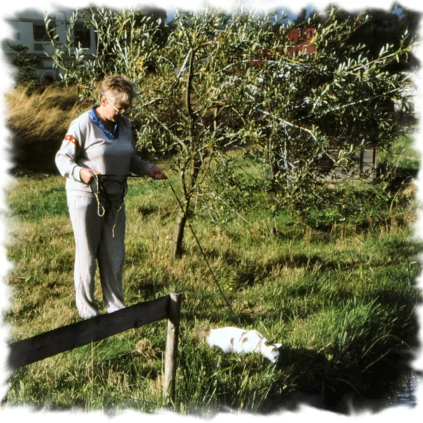 holderbach-mehlmeisel-e2pxy