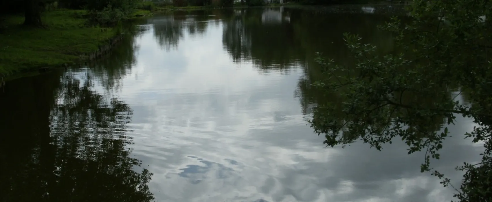 Des Etangs