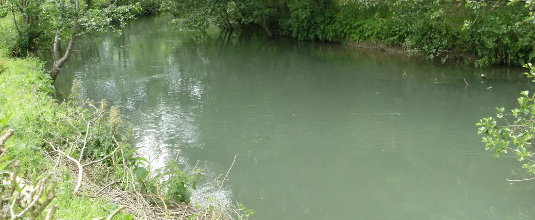 Des Etangs