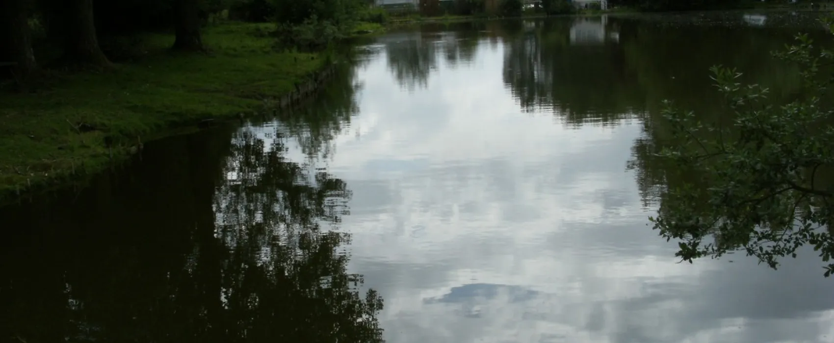 Des Etangs