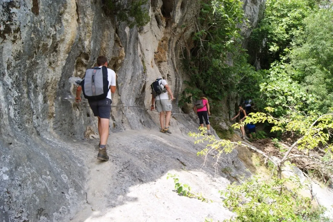 acacias-rosiegraveres-ardeche-faztf