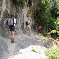 acacias-rosiegraveres-ardeche-faztf