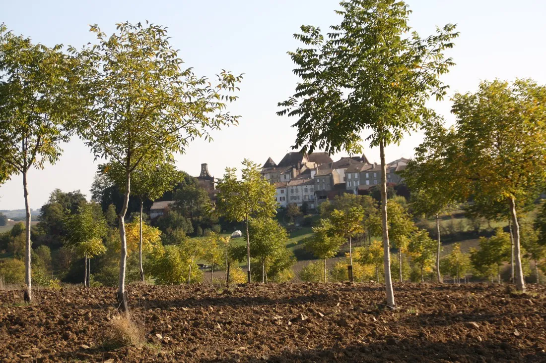 charmant-verteuil-dagenais-ip0bd