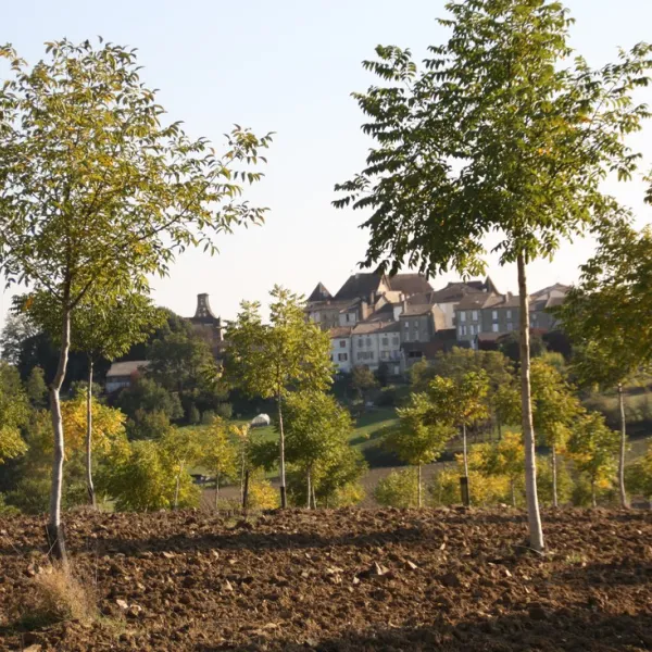 charmant-verteuil-dagenais-ip0bd