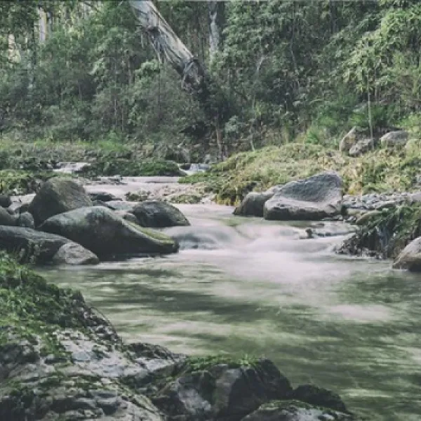 leatherbarrel-creek-campground-kosciuszko-9wapw