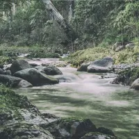 Leatherbarrel Creek Campground