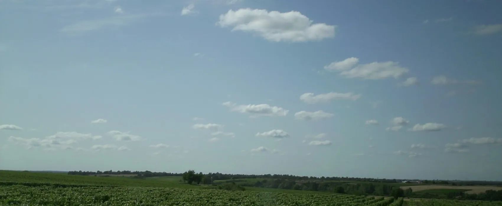 La Vallée des Vignes