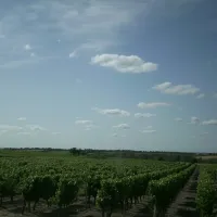 La Vallée des Vignes