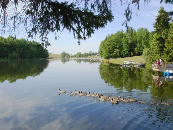 pine-cradle-lake-family-campground-rome-zoppf