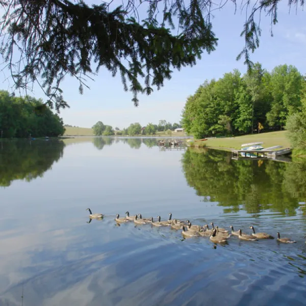 pine-cradle-lake-family-campground-rome-zoppf