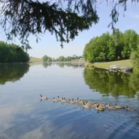Pine Cradle Lake Family Campground