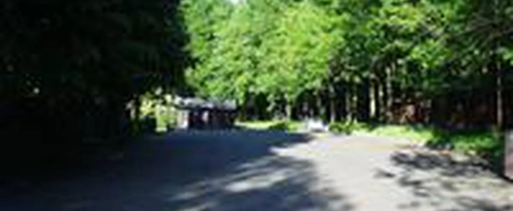 Camping Primátor