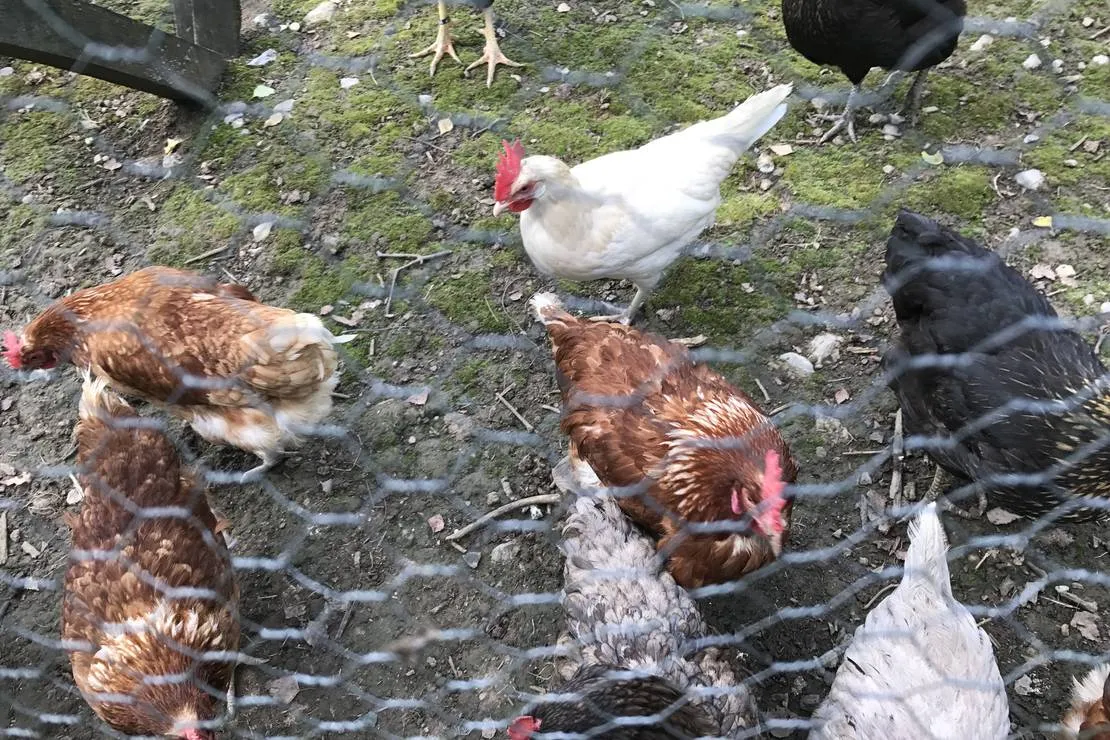 naturcamping-braunsbach-braunsbach-ga1v5