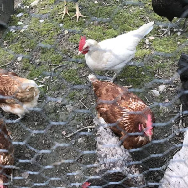 naturcamping-braunsbach-braunsbach-ga1v5