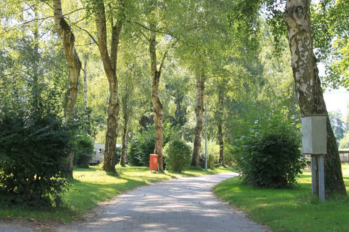 naturcamping-braunsbach-braunsbach-ojtqv