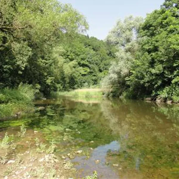 naturcamping-braunsbach-braunsbach-vhqts