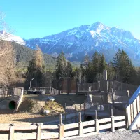 sonnenplateau-camping-gerhardhof-gmbh-wildermieming-g94n9