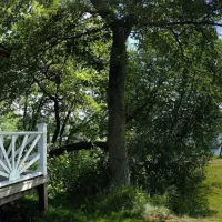strandbergs-stugor-mariehamn-diudn