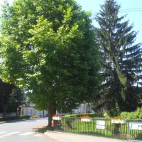 camping-caravaning-municipal-moulins-engilbert-2yciv
