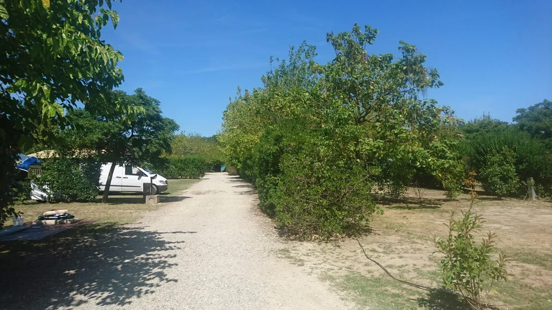 le-soleil-fruite-chateauneuf-sur-isere-drome-gdapn