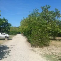 le-soleil-fruite-chateauneuf-sur-isere-drome-gdapn