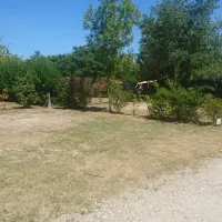 le-soleil-fruite-chateauneuf-sur-isere-drome-gm5lm