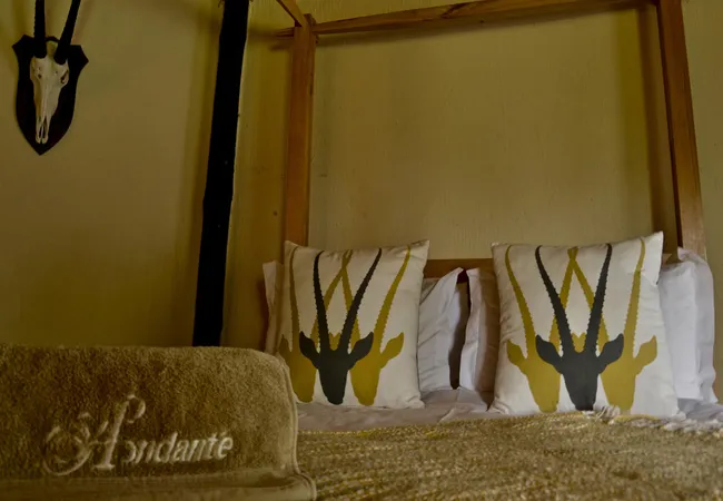 andante-game-farm-naboomspruit-waterberg-egb3x