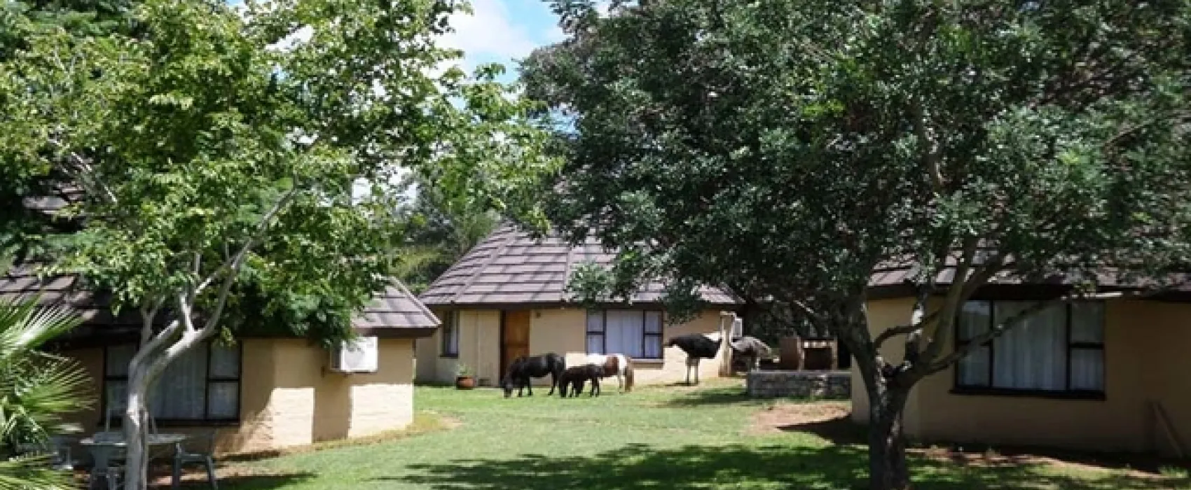 Andante Game Farm