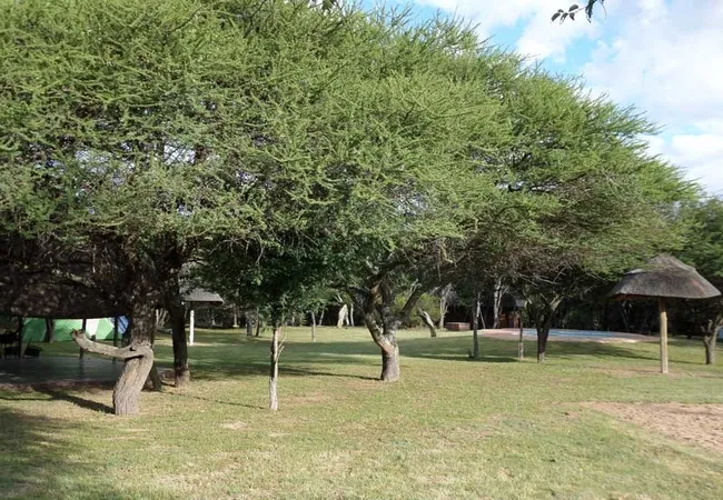 andante-game-farm-naboomspruit-waterberg-yzhdk