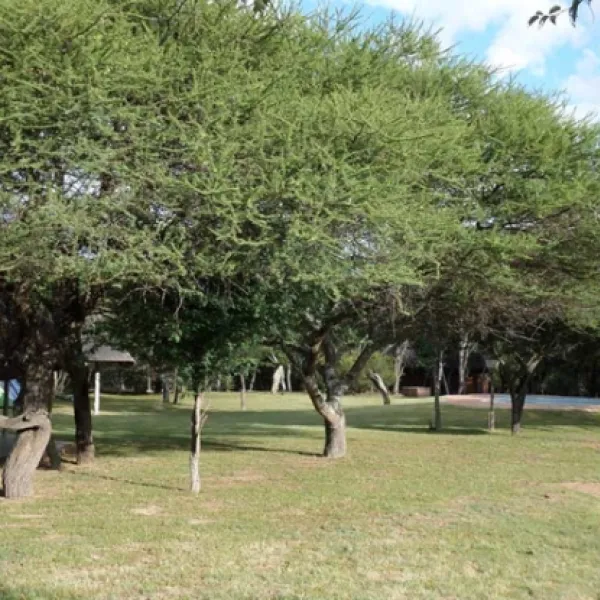 Andante Game Farm