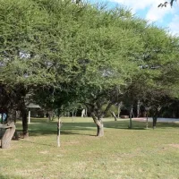 andante-game-farm-naboomspruit-waterberg-yzhdk