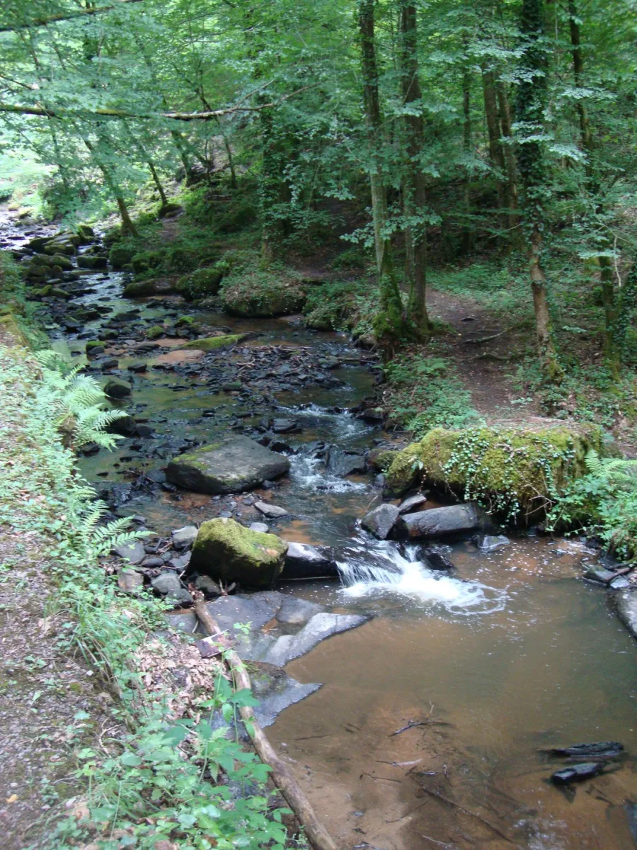 letang-de-ruffaud-st-priest-de-gimel-xyqai