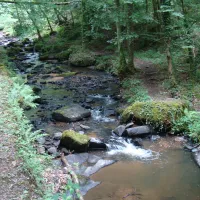 letang-de-ruffaud-st-priest-de-gimel-xyqai
