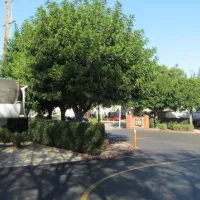walnut-rv-park-northridge-qdozx