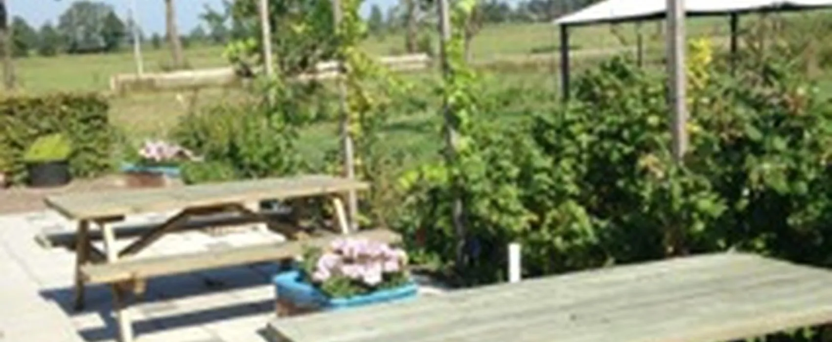De 7 Zaligheden