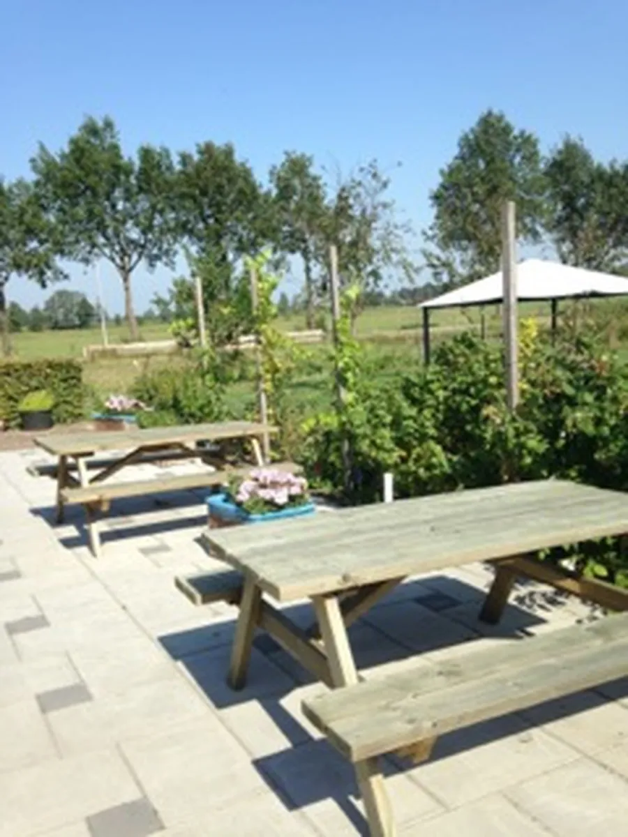 de-7-zaligheden-den-ham-vyqie