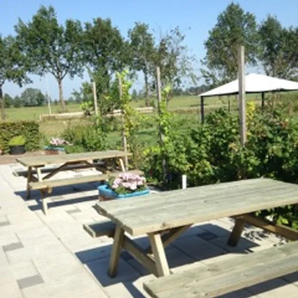 de-7-zaligheden-den-ham-vyqie