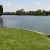 kedu-river-lodge-lindequesdrif-o0yjh