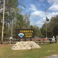 torreya-state-park-campground-bristol-e3rb8
