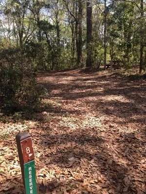 torreya-state-park-campground-bristol-o8074